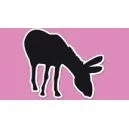 Pink Mule